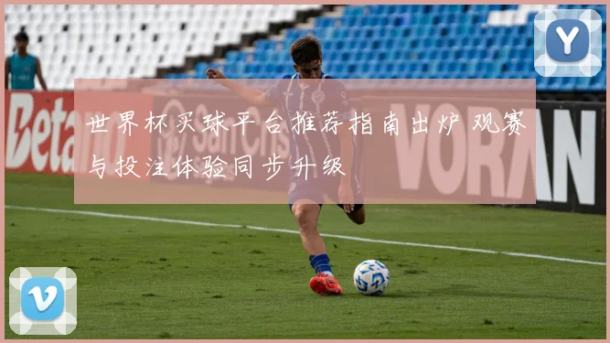 世界杯买球平台推荐指南出炉 观赛与投注体验同步升级