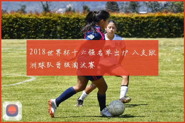 2018世界杯十六强名单出炉 八支欧洲球队晋级淘汰赛
