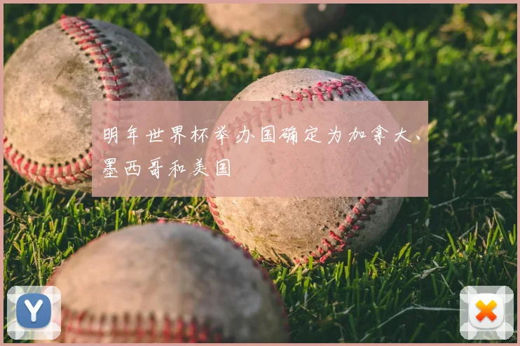 明年世界杯举办国确定为加拿大、墨西哥和美国