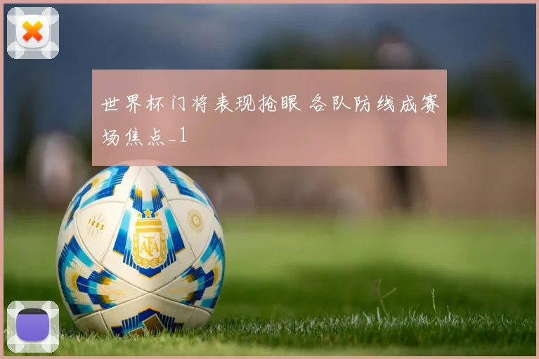 世界杯门将表现抢眼 各队防线成赛场焦点_1